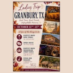 Ladies Trip to Granbury, TX